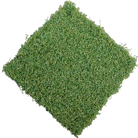 Kort kunstgræs i høj kvalitet | Er meget slidstærkt og kan fås i forskellige farver